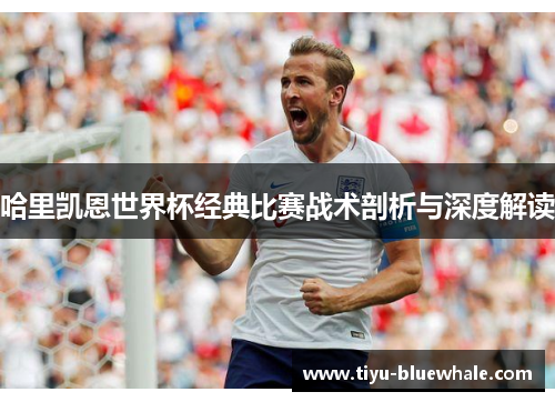 哈里凯恩世界杯经典比赛战术剖析与深度解读