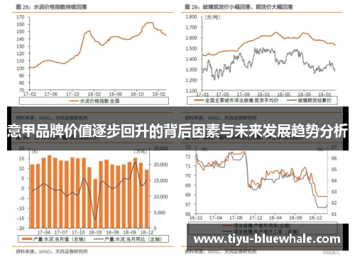 意甲品牌价值逐步回升的背后因素与未来发展趋势分析