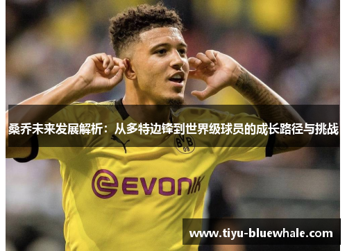 桑乔未来发展解析：从多特边锋到世界级球员的成长路径与挑战