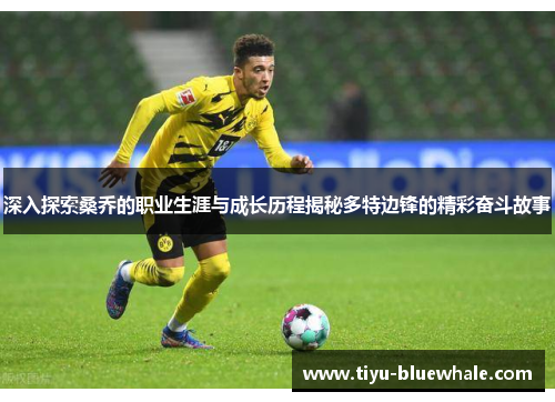 深入探索桑乔的职业生涯与成长历程揭秘多特边锋的精彩奋斗故事