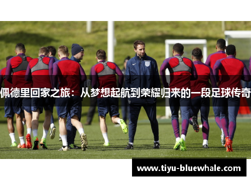 佩德里回家之旅：从梦想起航到荣耀归来的一段足球传奇