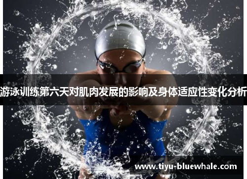 游泳训练第六天对肌肉发展的影响及身体适应性变化分析