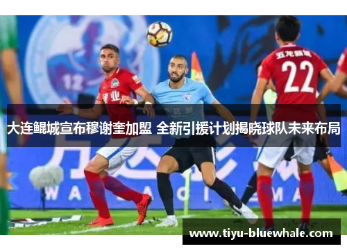 大连鲲城宣布穆谢奎加盟 全新引援计划揭晓球队未来布局