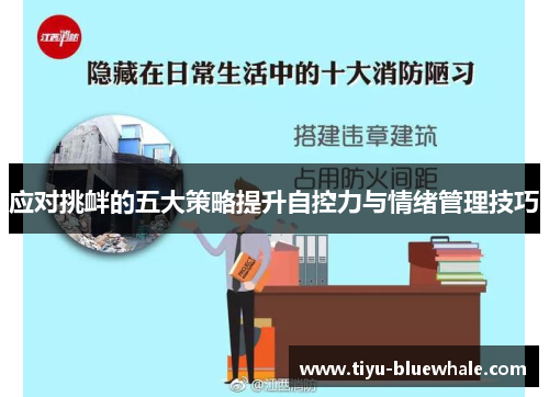 应对挑衅的五大策略提升自控力与情绪管理技巧