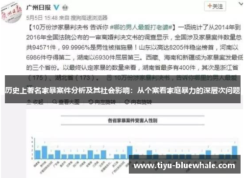历史上著名家暴案件分析及其社会影响：从个案看家庭暴力的深层次问题