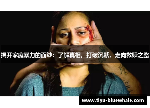 揭开家庭暴力的面纱：了解真相，打破沉默，走向救赎之路