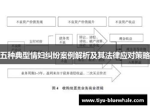 五种典型情妇纠纷案例解析及其法律应对策略