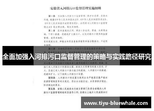 全面加强入河排污口监督管理的策略与实践路径研究