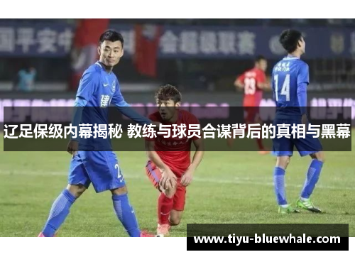 辽足保级内幕揭秘 教练与球员合谋背后的真相与黑幕