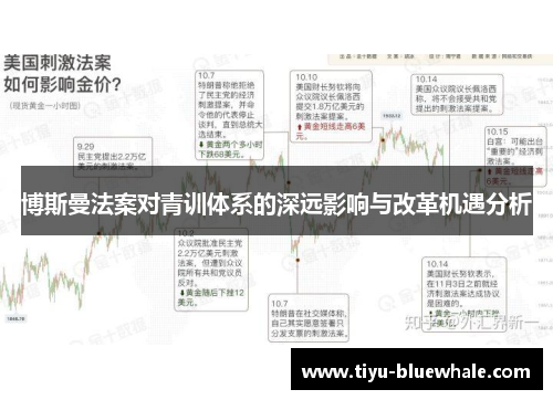 博斯曼法案对青训体系的深远影响与改革机遇分析