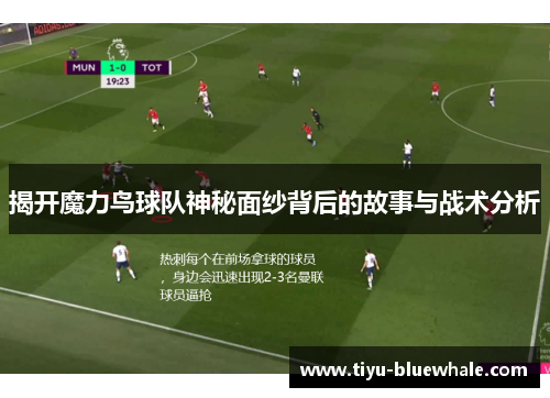 揭开魔力鸟球队神秘面纱背后的故事与战术分析