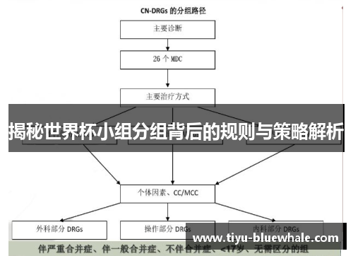 揭秘世界杯小组分组背后的规则与策略解析