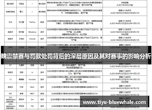 魏震禁赛与罚款处罚背后的深层原因及其对赛事的影响分析